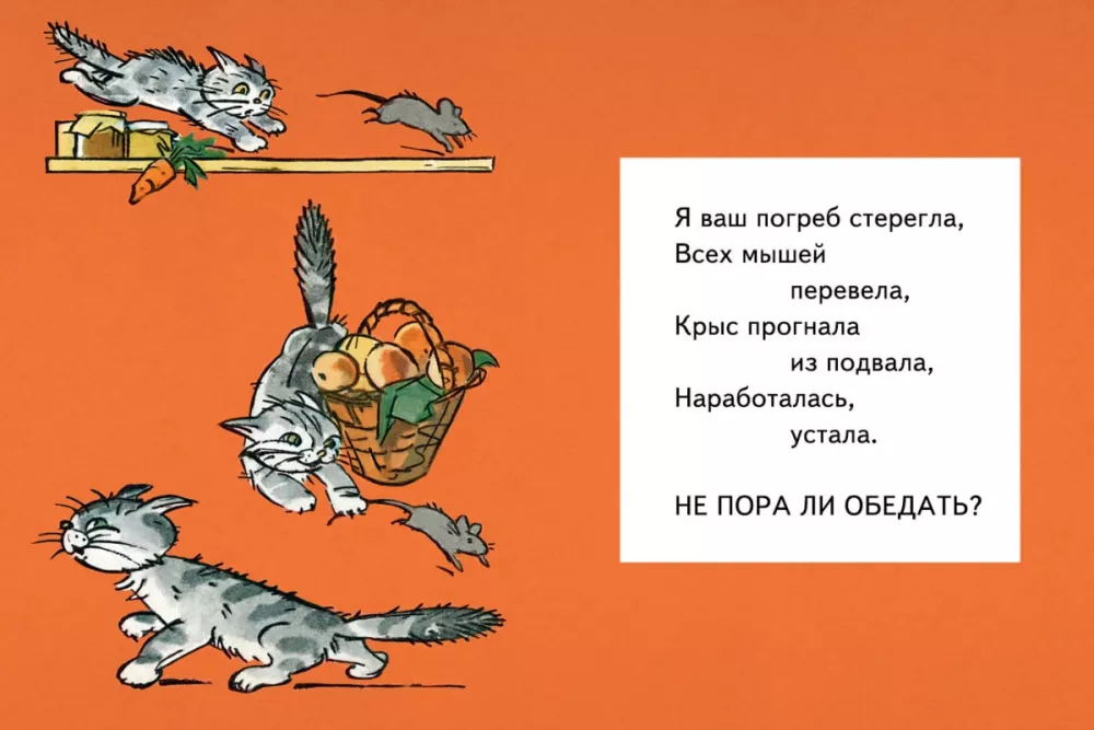 Maša pusdieno