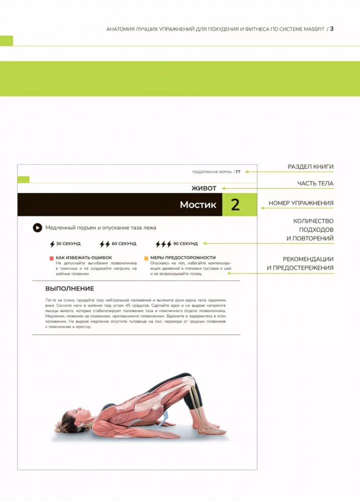 Anatomie der besten Übungen zum Abnehmen und Fitness nach dem Massfit-System