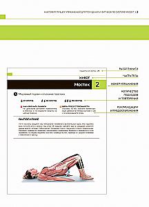 Anatomie der besten Übungen zum Abnehmen und Fitness nach dem Massfit-System
