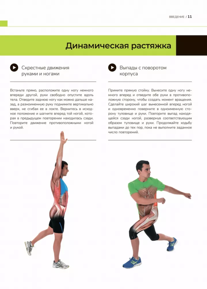 Anatomie der besten Übungen zum Abnehmen und Fitness nach dem Massfit-System