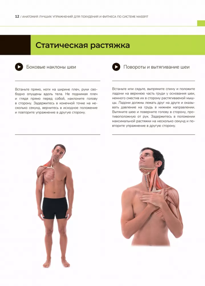 Anatomie der besten Übungen zum Abnehmen und Fitness nach dem Massfit-System