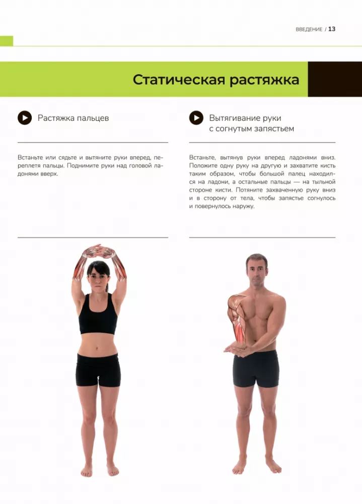 Anatomie der besten Übungen zum Abnehmen und Fitness nach dem Massfit-System