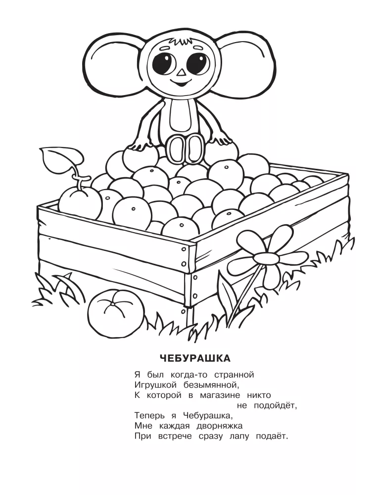 Čeburaška — nuotrauka 3