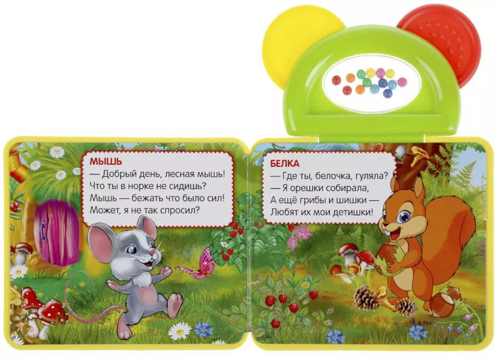 Zwierzęta leśne
