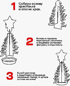 Growing a New Year's Crystal - Christmas Tree and Star, Experiment Kit