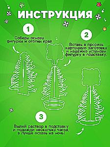 Growing a New Year's Crystal - Christmas Tree, Experiment Kit