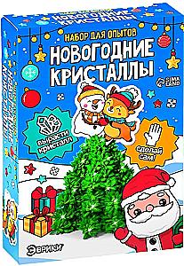 Growing a New Year's Crystal - Christmas Tree, Experiment Kit
