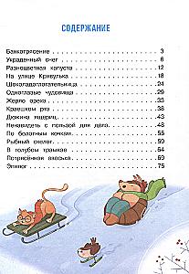 Detektiv Masyavochkina. Fall Nr. 1: Vom verschwundenen Schnee