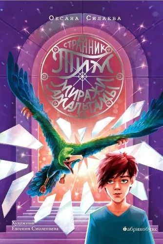 Wanderer Tim. Die Illusionen der Amalgam. Buch 2