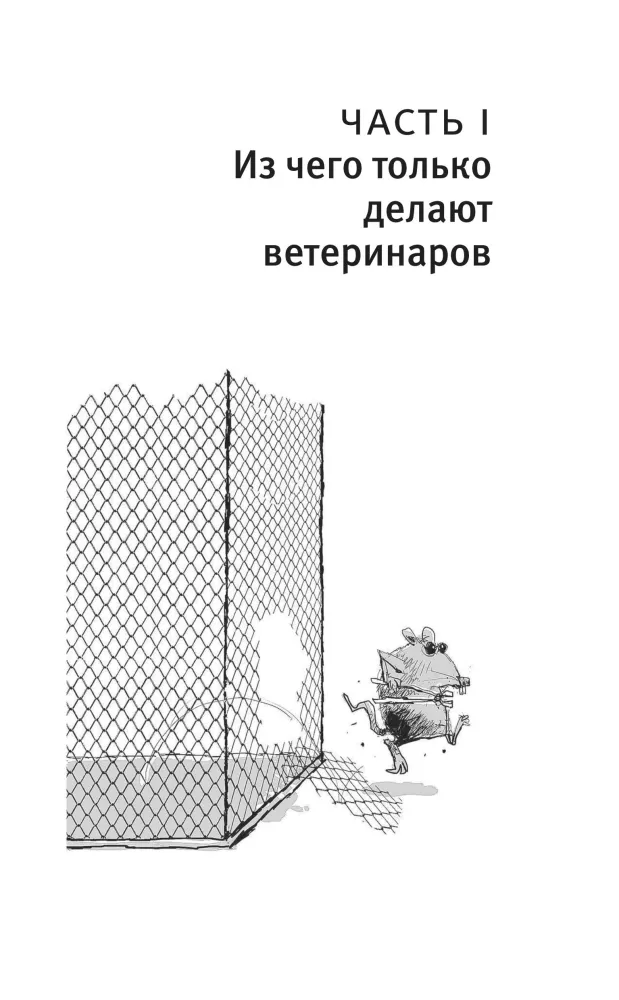 Zufälliger Tierarzt