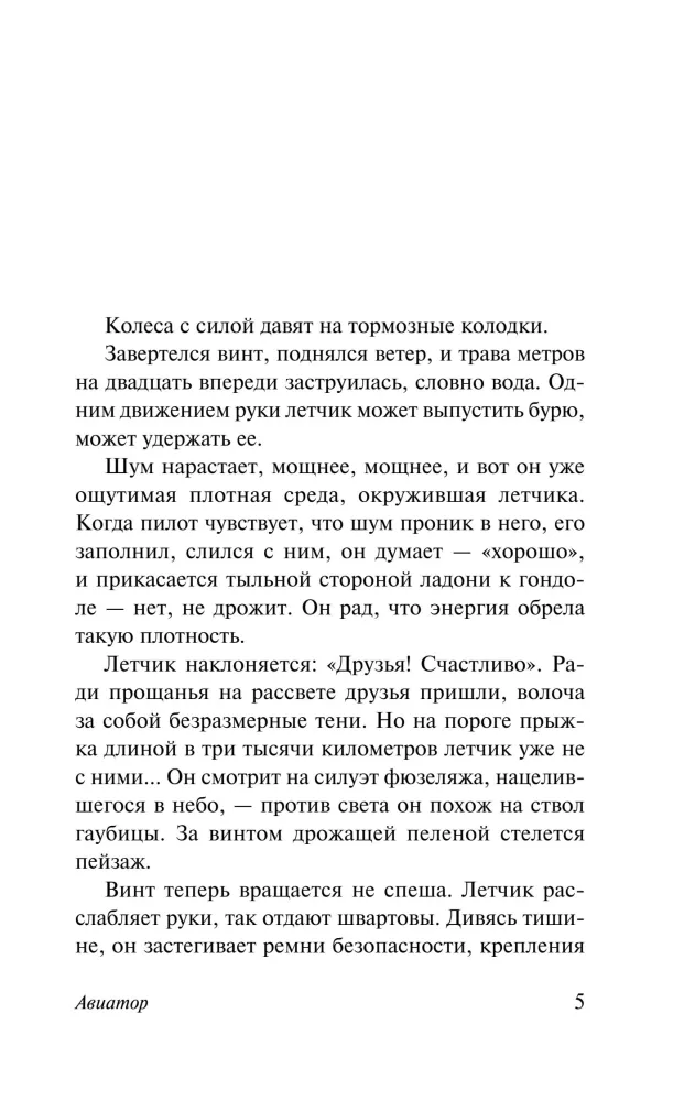 Aviator — photo 3