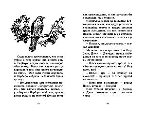 Дело о пропавших медалях