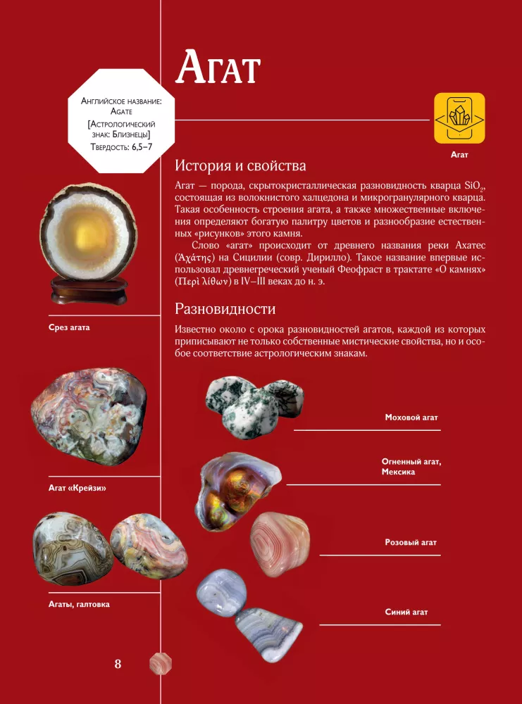 Edelsteine und Mineralien. Illustrierter Leitfaden mit erweiterter 3D-Realität