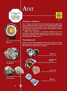 Edelsteine und Mineralien. Illustrierter Leitfaden mit erweiterter 3D-Realität