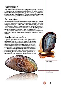 Edelsteine und Mineralien. Illustrierter Leitfaden mit erweiterter 3D-Realität
