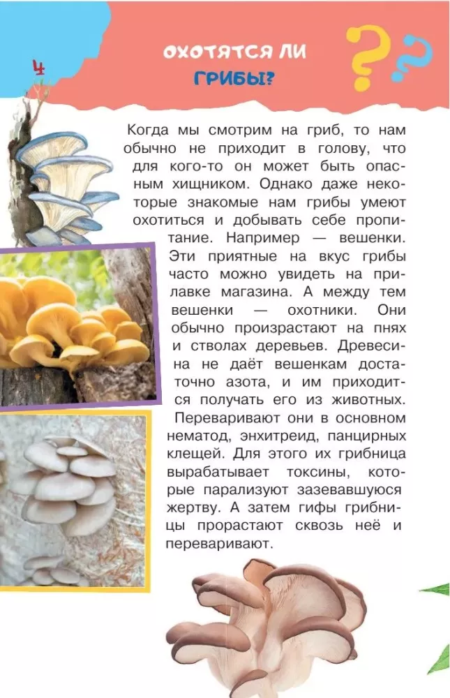 The Big Book of Why — photo 16