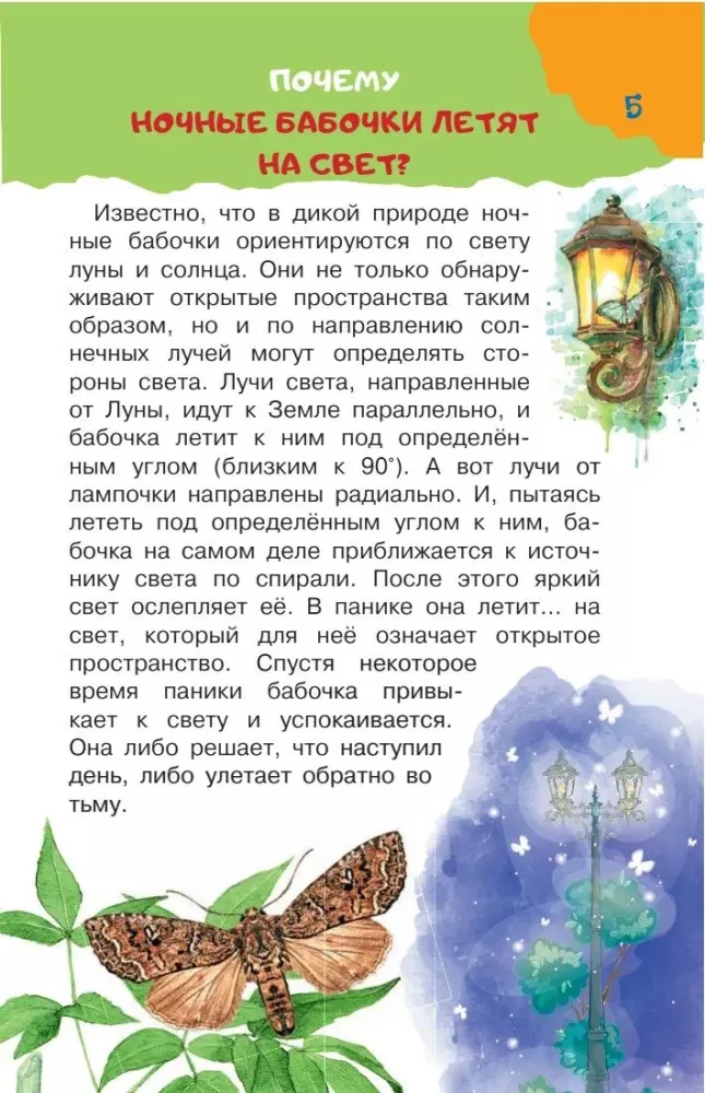 The Big Book of Why — photo 17