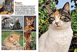 Mano didelė knyga apie gyvūnus