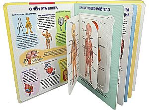 Kā ir iekārtots cilvēks? Enciklopēdija ar logiem