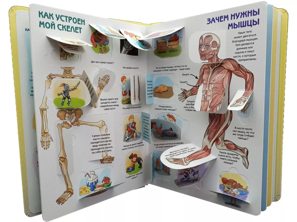 Kā ir iekārtots cilvēks? Enciklopēdija ar logiem