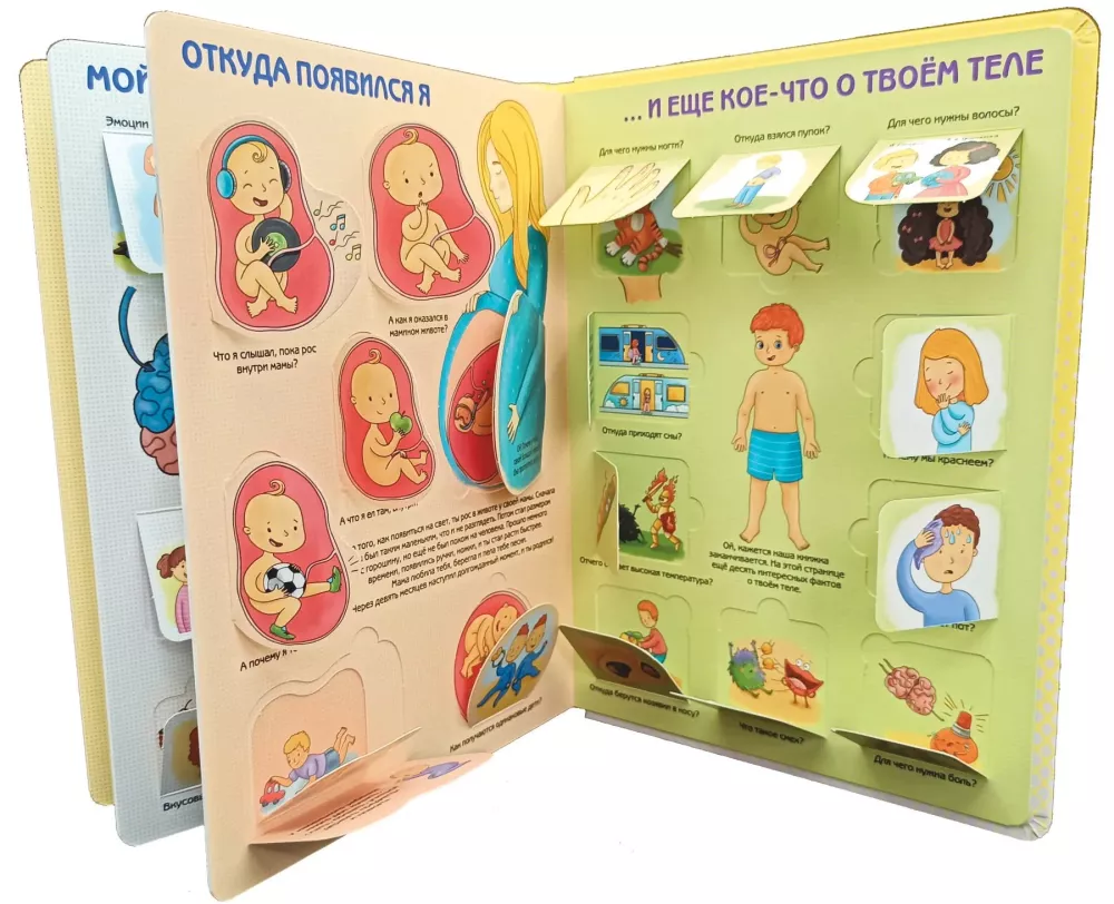 Kā ir iekārtots cilvēks? Enciklopēdija ar logiem