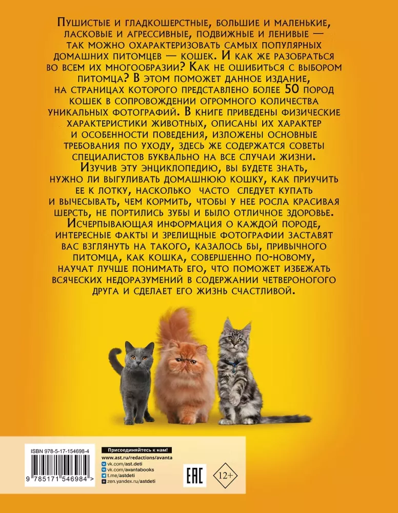 Das beste illustrierte Nachschlagewerk. Katzen — Foto 2