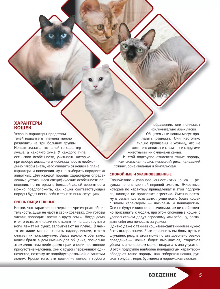 Das beste illustrierte Nachschlagewerk. Katzen — Foto 6