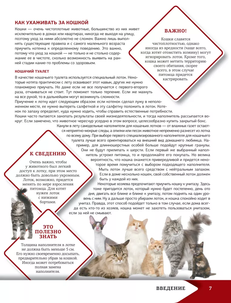 Das beste illustrierte Nachschlagewerk. Katzen — Foto 8