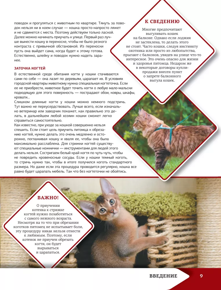 Das beste illustrierte Nachschlagewerk. Katzen — Foto 10