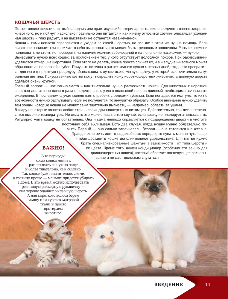 Das beste illustrierte Nachschlagewerk. Katzen — Foto 12