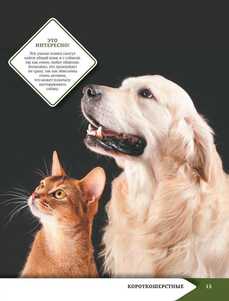 Das beste illustrierte Nachschlagewerk. Katzen — Foto 16