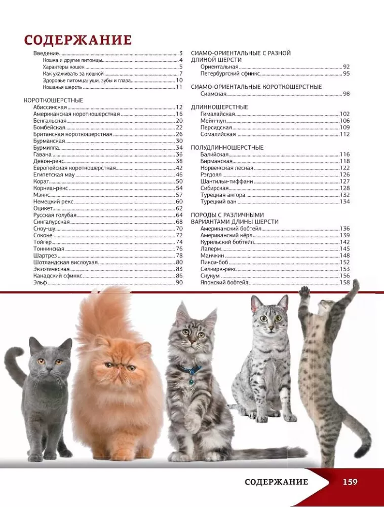 Das beste illustrierte Nachschlagewerk. Katzen — Foto 3