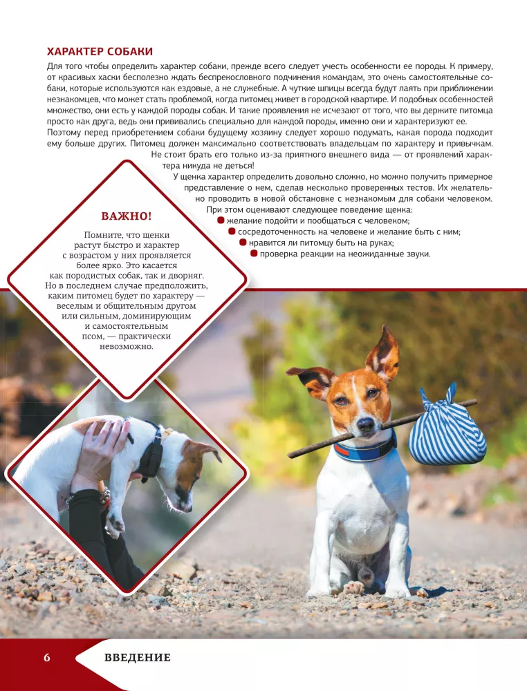 Vislabākā ilustrētā enciklopēdija. Suņi — foto 7