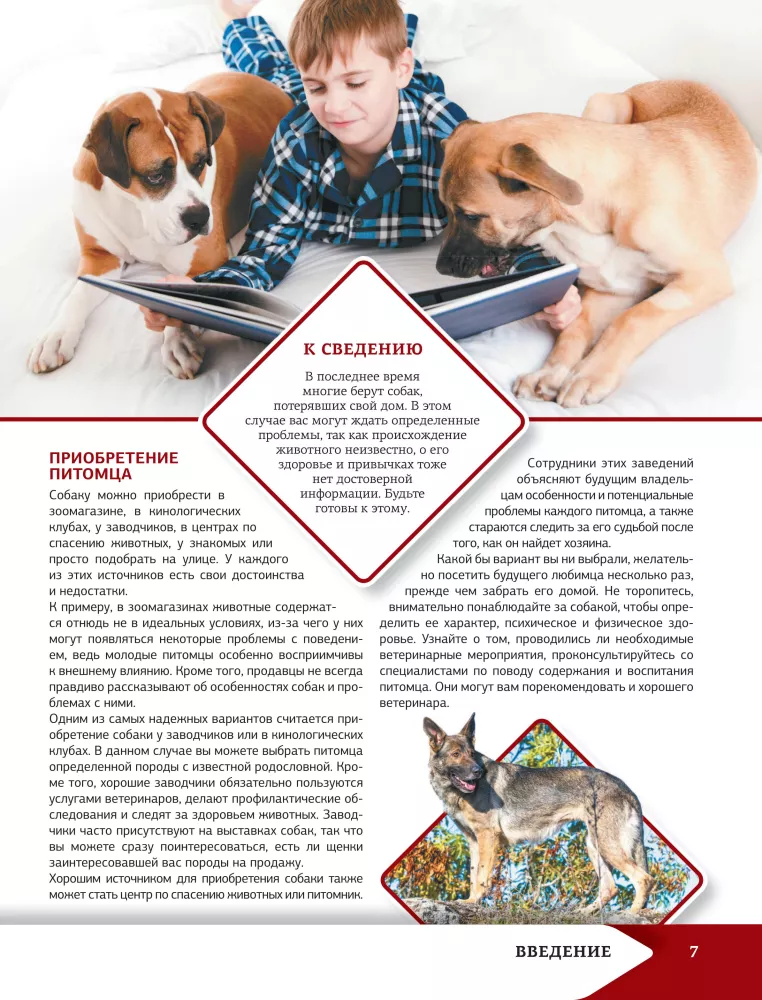 Vislabākā ilustrētā enciklopēdija. Suņi — foto 8