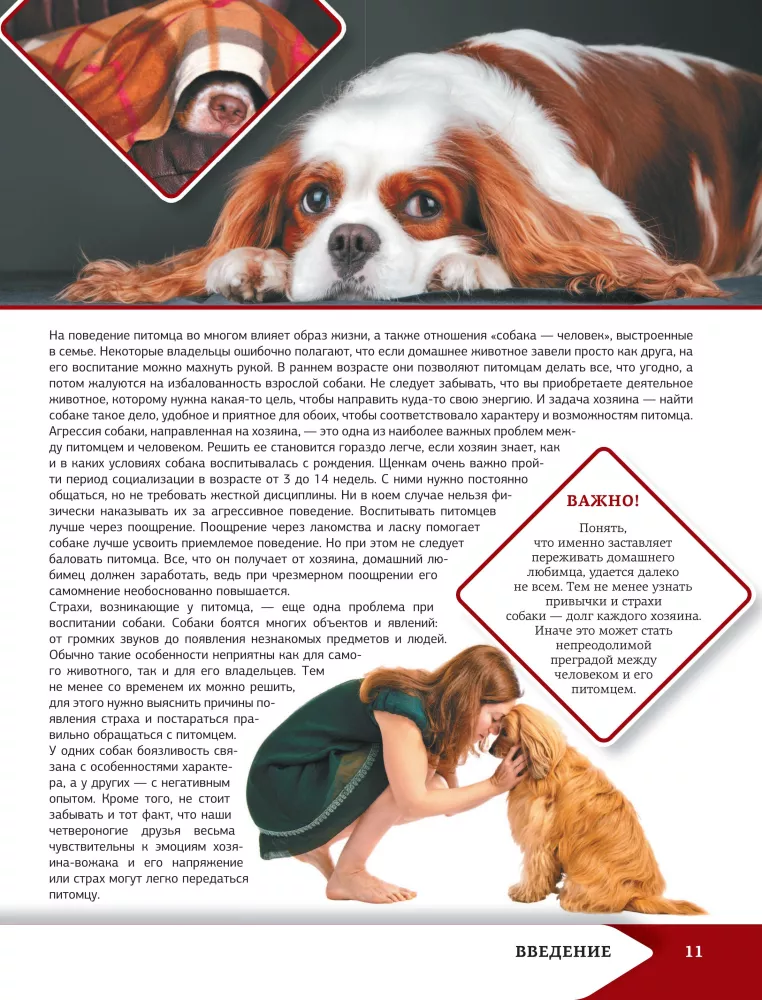 Vislabākā ilustrētā enciklopēdija. Suņi — foto 12