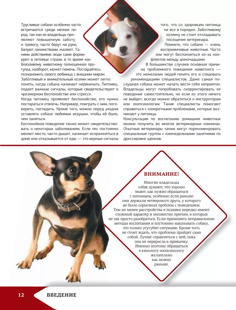 Vislabākā ilustrētā enciklopēdija. Suņi — foto 13