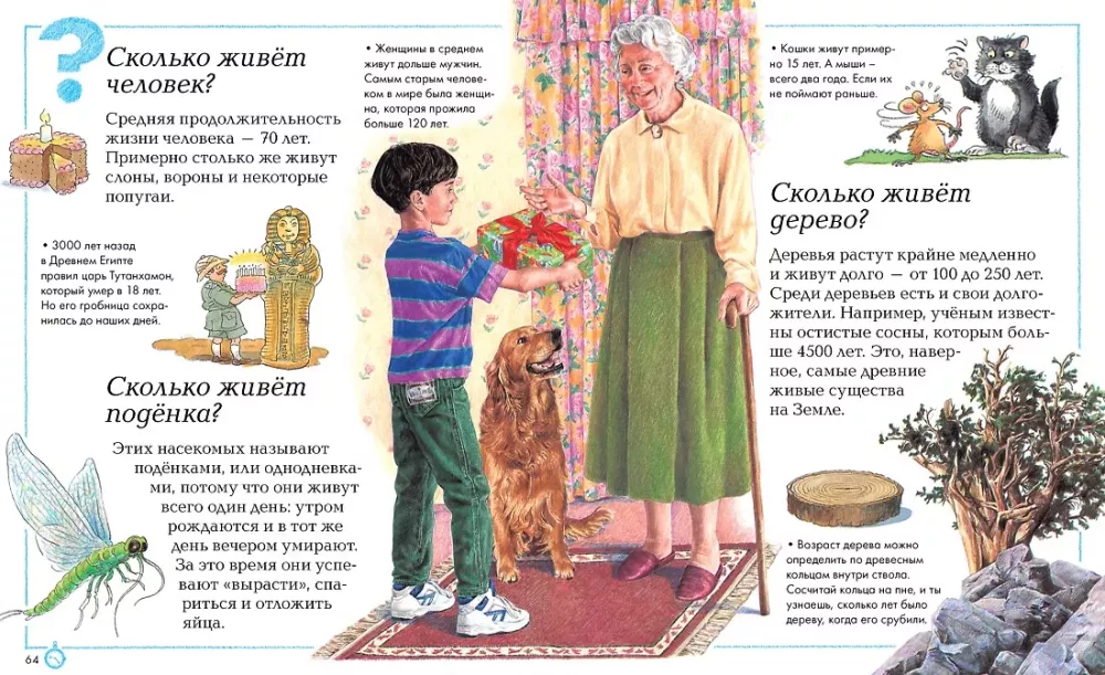 Отчего и почему? — фото 4