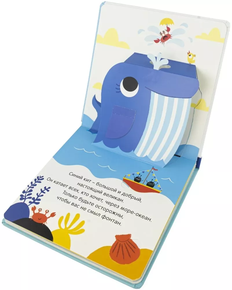 3D Pictures. Sea Creatures — photo 3