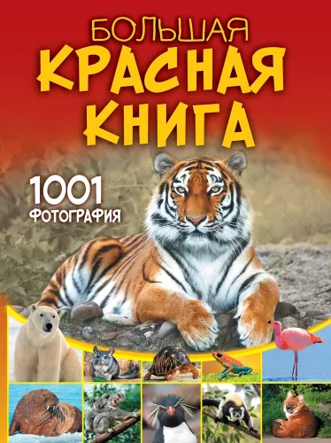 Didžioji raudonoji knyga. 1001 nuotrauka