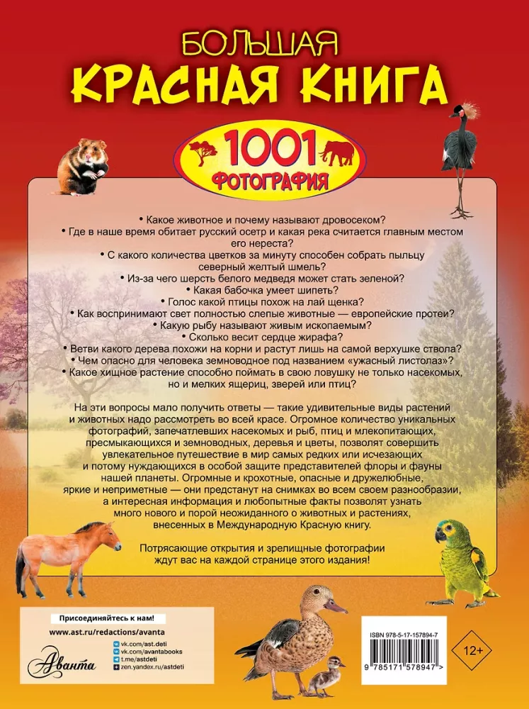 Wielka czerwona księga. 1001 zdjęć — zdjęcie 3