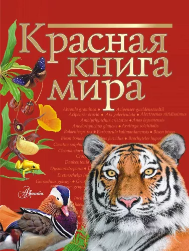 Raudonoji pasaulio knyga