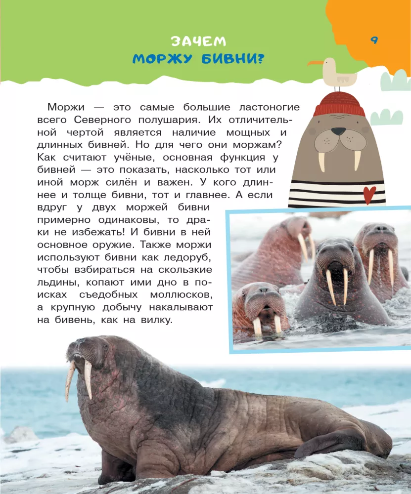 100 tysięcy dlaczego — zdjęcie 9