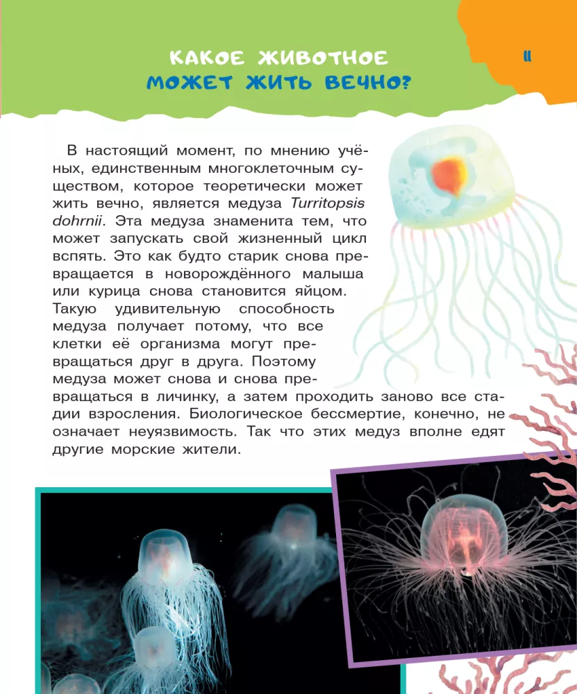 100 tysięcy dlaczego — zdjęcie 11