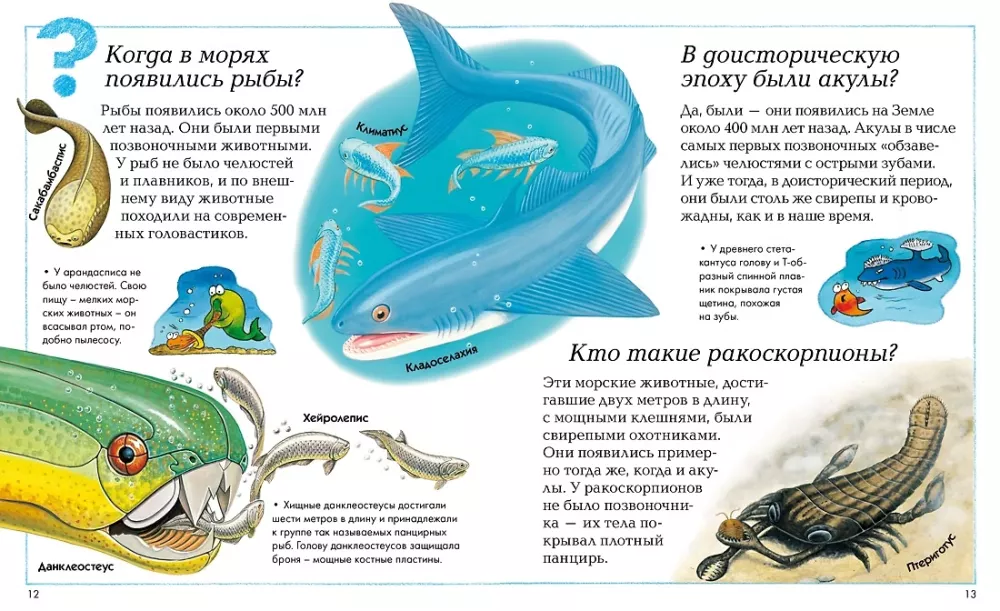 Где, что и когда? — фото 4