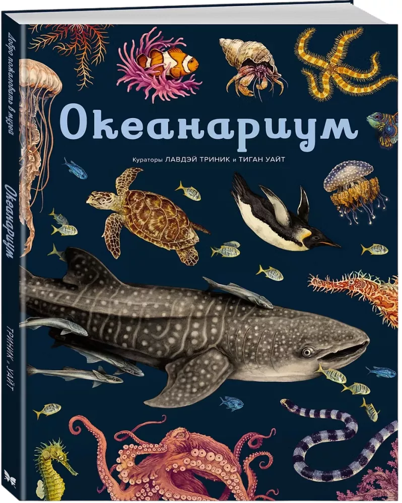 Ozeanarium