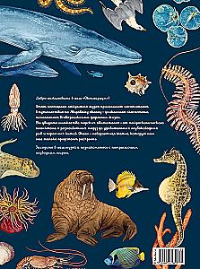 Ozeanarium