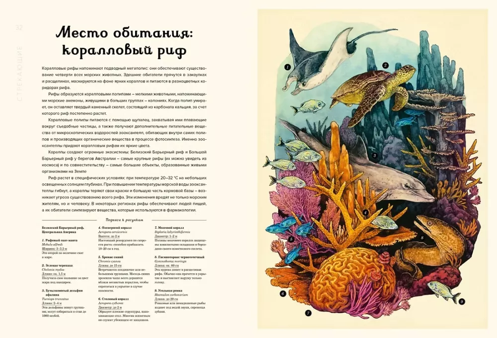 Ozeanarium