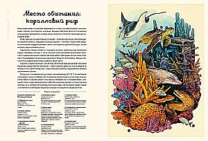 Ozeanarium