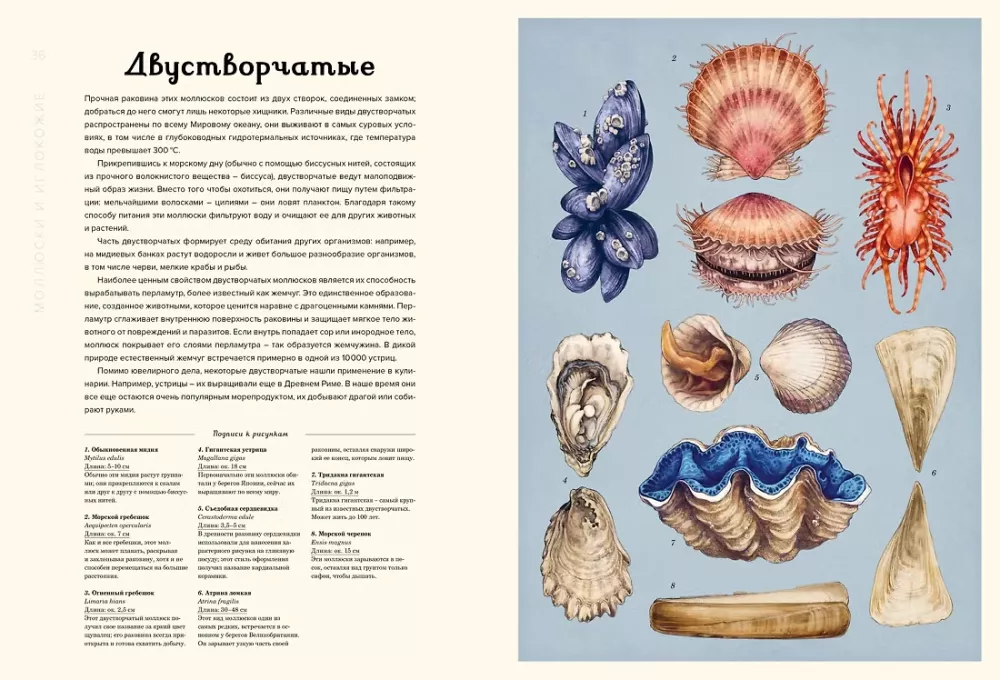 Ozeanarium