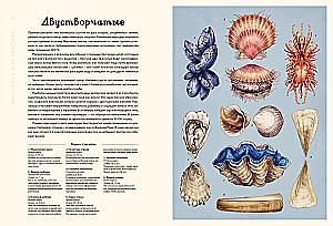 Ozeanarium